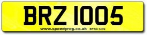 BRZ 1005 Number Plates