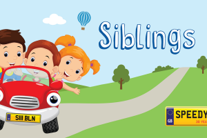 Siblings Day Number Plates - Speedy Reg