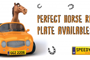 GGZ Number Plates - Speedy Reg