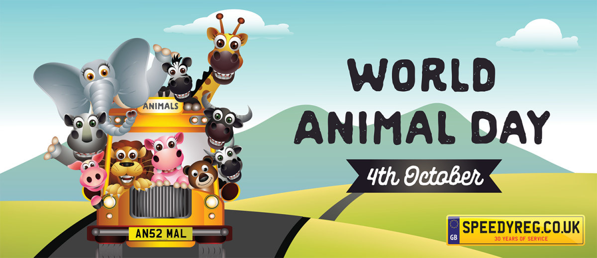 World Animal Day 4th Oct Events & Animal Number Plate