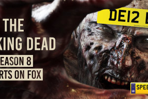 The Walking Dead Number Plates - Speedy Reg