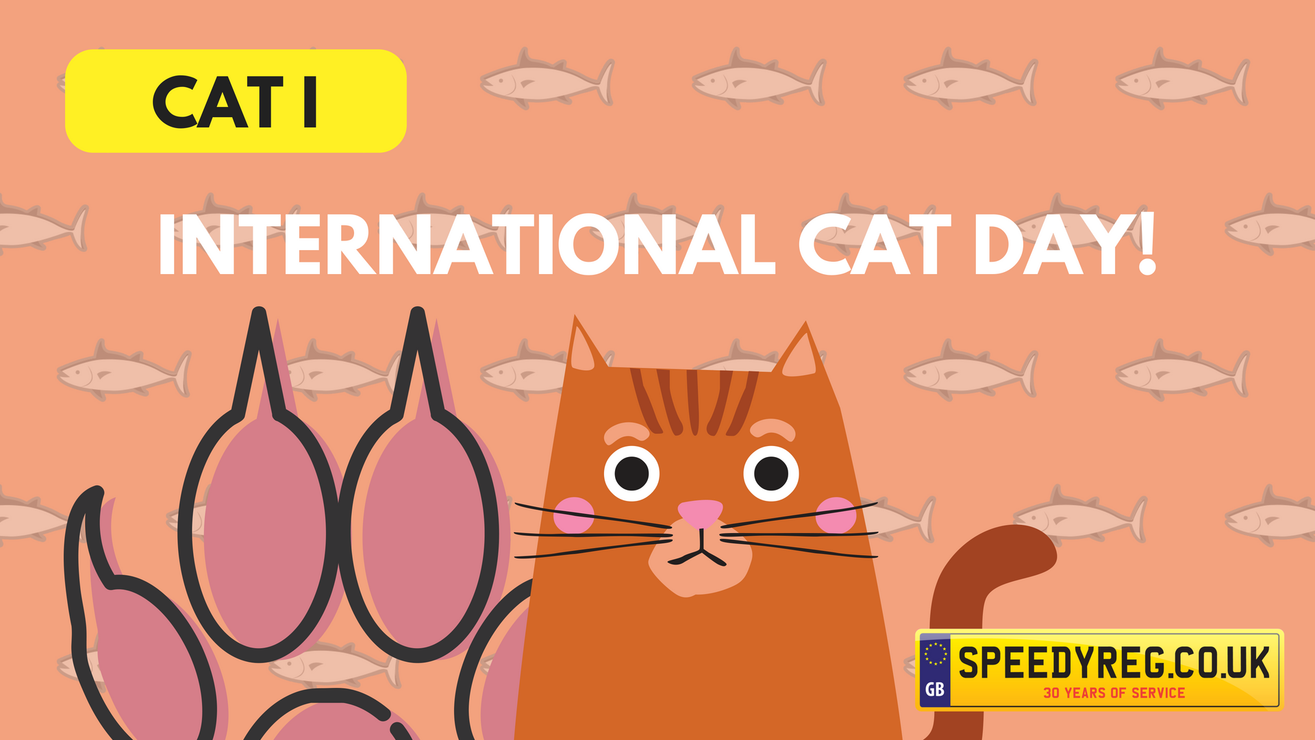 International Cat Day How to Get Involved & CAT Number Plates