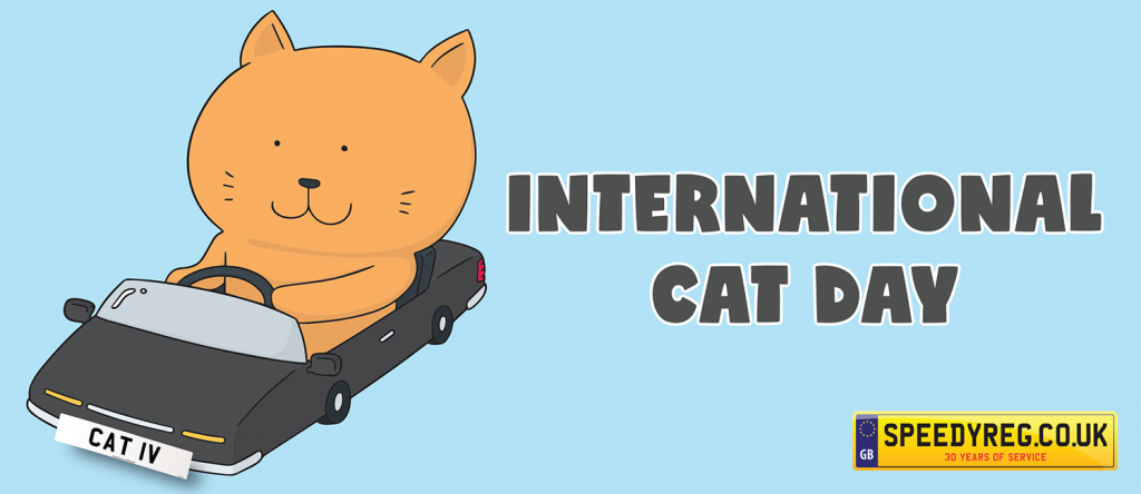 International Cat Day - Speedyreg