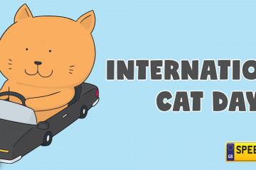 International Cat Day - Speedyreg