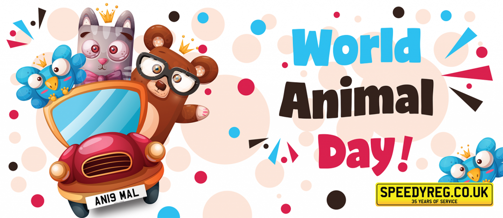 Speedyreg - World Animal Day 2019