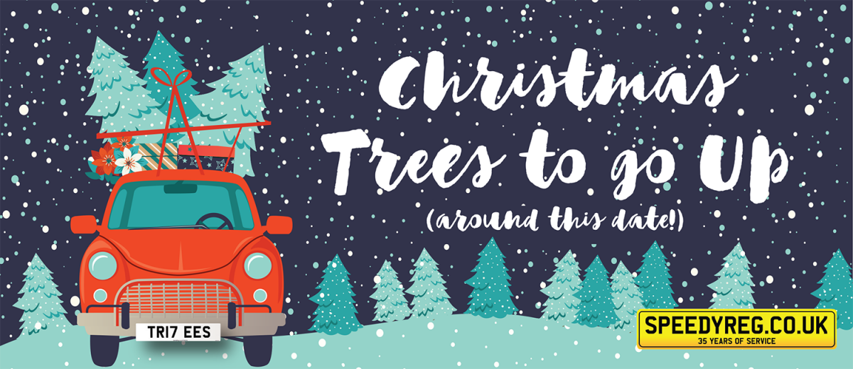 Is Your Christmas Tree Up? Christmas Number Plate Ideas